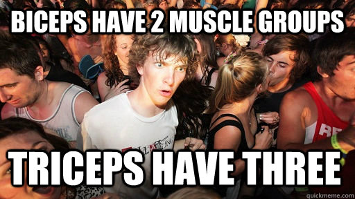 biceps have 2 muscle groups triceps have three  - biceps have 2 muscle groups triceps have three   Misc