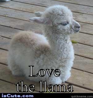  LOVE THE LLAMA Misc