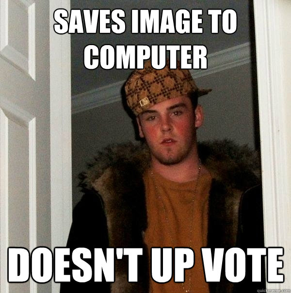 Saves image to computer doesn't up vote   Scumbag Steve