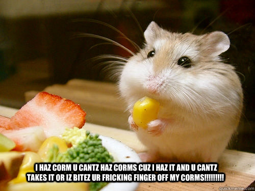  i haz corm u cantz haz corms cuz i haz it and u cantz takes it or iz bitez ur fricking finger off MY CORMS!!!!!!!!! -  i haz corm u cantz haz corms cuz i haz it and u cantz takes it or iz bitez ur fricking finger off MY CORMS!!!!!!!!!  nom nom nom hamster