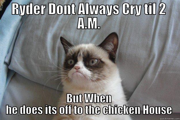 Ryder Cryer - RYDER DONT ALWAYS CRY TIL 2 A.M. BUT WHEN HE DOES ITS OFF TO THE CHICKEN HOUSE Grumpy Cat