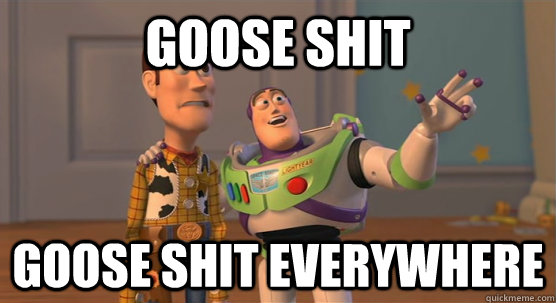 Goose Shit Goose Shit everywhere  Toy Story Everywhere