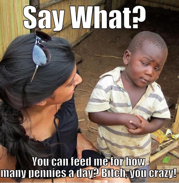 Feed Me! - SAY WHAT?  YOU CAN FEED ME FOR HOW MANY PENNIES A DAY? BITCH, YOU CRAZY! Skeptical Third World Kid