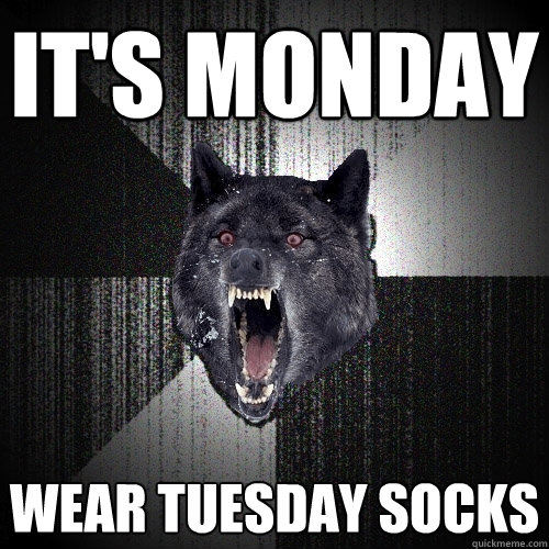 It's Monday Wear Tuesday socks  Insanity Wolf