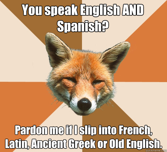 You speak English AND Spanish? Pardon me if I slip into French, Latin, Ancient Greek or Old English. - You speak English AND Spanish? Pardon me if I slip into French, Latin, Ancient Greek or Old English.  Condescending Fox