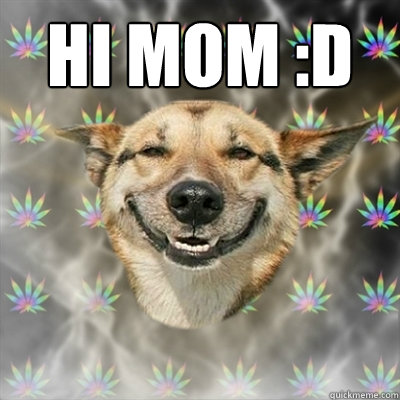 Hi Mom :D  - Hi Mom :D   Stoner Dog