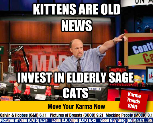 Kittens are old news Invest in elderly sage cats  Mad Karma with Jim Cramer