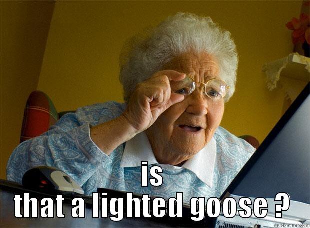 goose not yet -  IS THAT A LIGHTED GOOSE ? Grandma finds the Internet