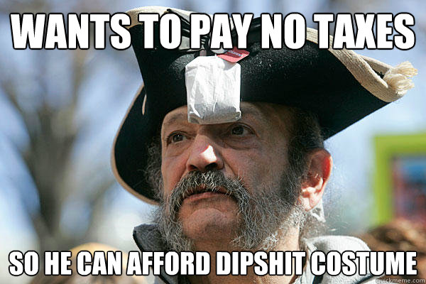 wants to pay no taxes so he can afford dipshit costume - wants to pay no taxes so he can afford dipshit costume  Tea Party Ted