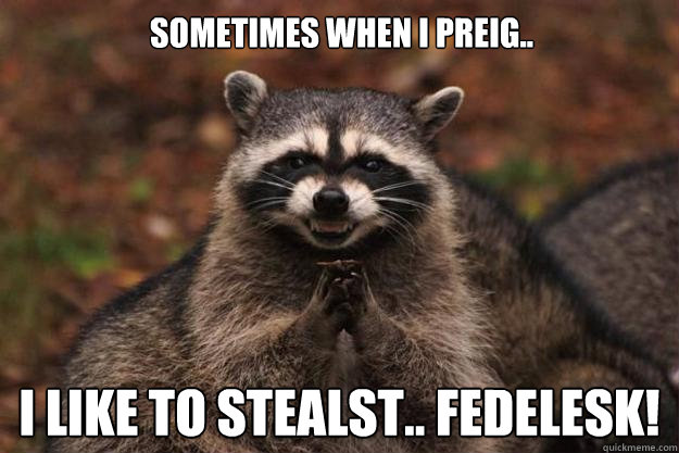 Sometimes when I preig.. I like to stealst.. FEDELESk!  Evil Plotting Raccoon