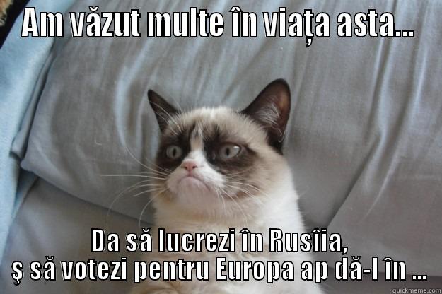 AM VĂZUT MULTE ÎN VIAŢA ASTA... DA SĂ LUCREZI ÎN RUSÎIA, Ş SĂ VOTEZI PENTRU EUROPA AP DĂ-L ÎN ... Grumpy Cat