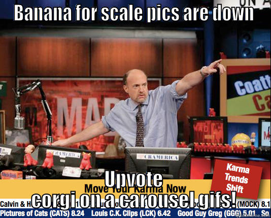 BANANA FOR SCALE PICS ARE DOWN UPVOTE CORGI ON A CAROUSEL GIFS! Mad Karma with Jim Cramer