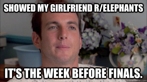 Showed my girlfriend r/elephants It's the week before Finals.  Ive Made a Huge Mistake