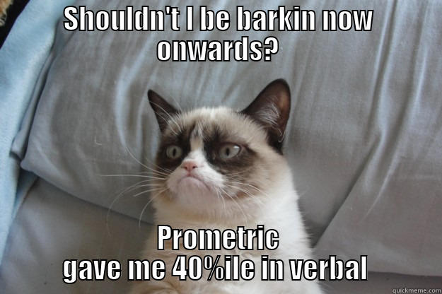 SHOULDN'T I BE BARKIN NOW ONWARDS? PROMETRIC GAVE ME 40%ILE IN VERBAL  Grumpy Cat