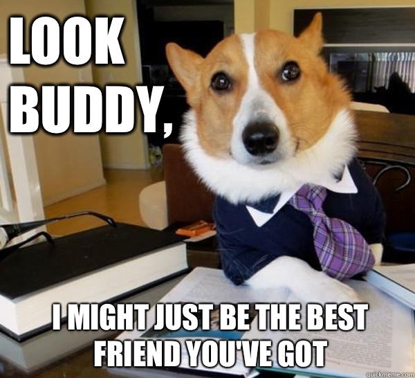 Look buddy, I might just be the best friend you've got  Lawyer Dog