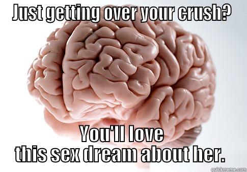 JUST GETTING OVER YOUR CRUSH? YOU'LL LOVE THIS SEX DREAM ABOUT HER.  Scumbag Brain