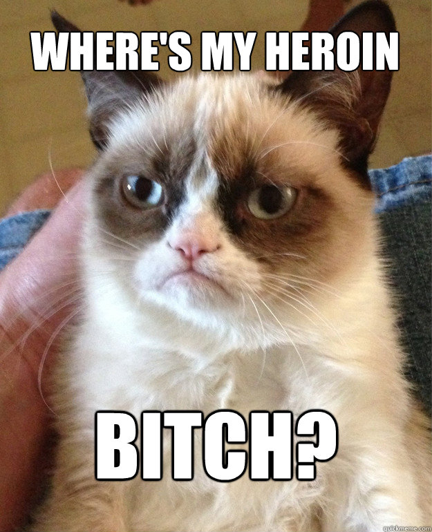 Where's my heroin Bitch?  Grumpy Cat