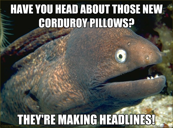 Have you head about those new corduroy pillows? They're making headlines! - Have you head about those new corduroy pillows? They're making headlines!  Bad Joke Eel