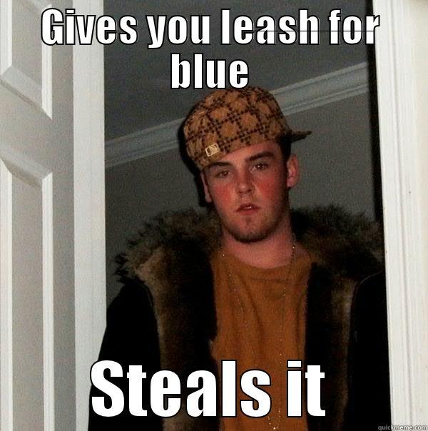 GIVES YOU LEASH FOR BLUE STEALS IT Scumbag Steve