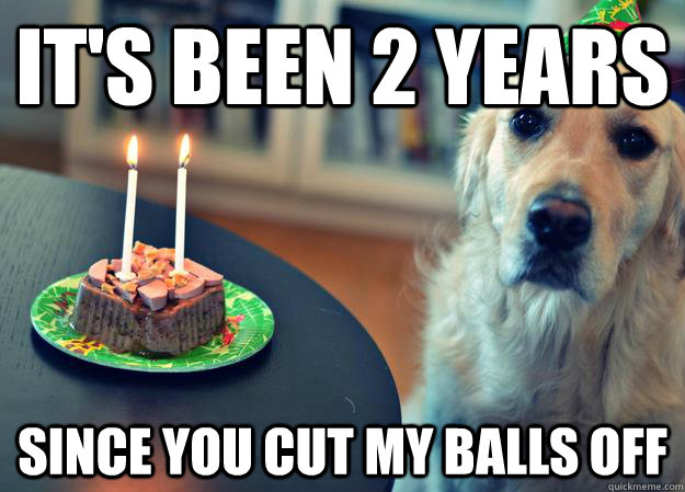 It's been 2 years since you cut my balls off  Sad Birthday Dog