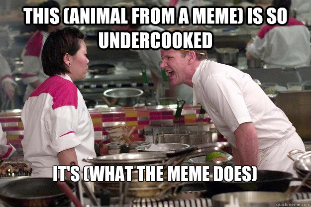 THis (animal from a meme) IS SO UNDERCOOKED IT'S (what the meme does) - THis (animal from a meme) IS SO UNDERCOOKED IT'S (what the meme does)  Misc