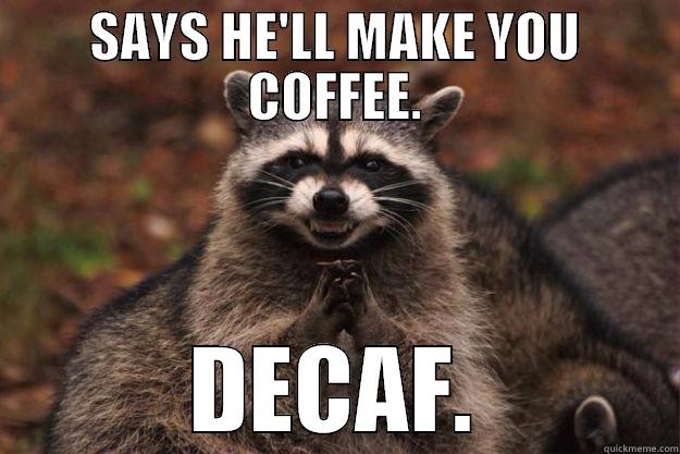 SAYS HE'LL MAKE YOU COFFEE. DECAF. Evil Plotting Raccoon