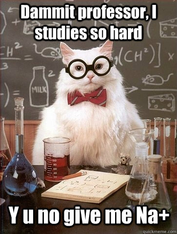 Dammit professor, I studies so hard Y u no give me Na+ - Dammit professor, I studies so hard Y u no give me Na+  Chemistry Cat