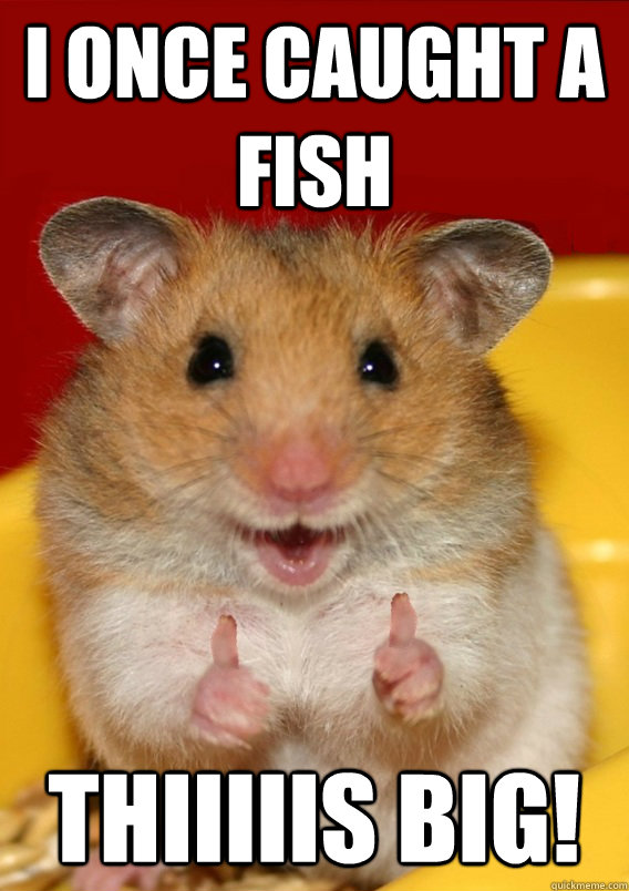 i once caught a fish thiiiiis big!  - i once caught a fish thiiiiis big!   Rationalization Hamster