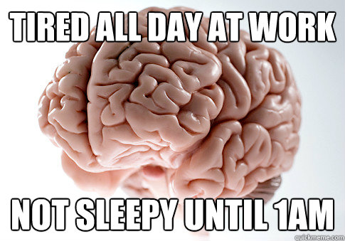 Tired all day at work Not sleepy until 1am  Scumbag Brain