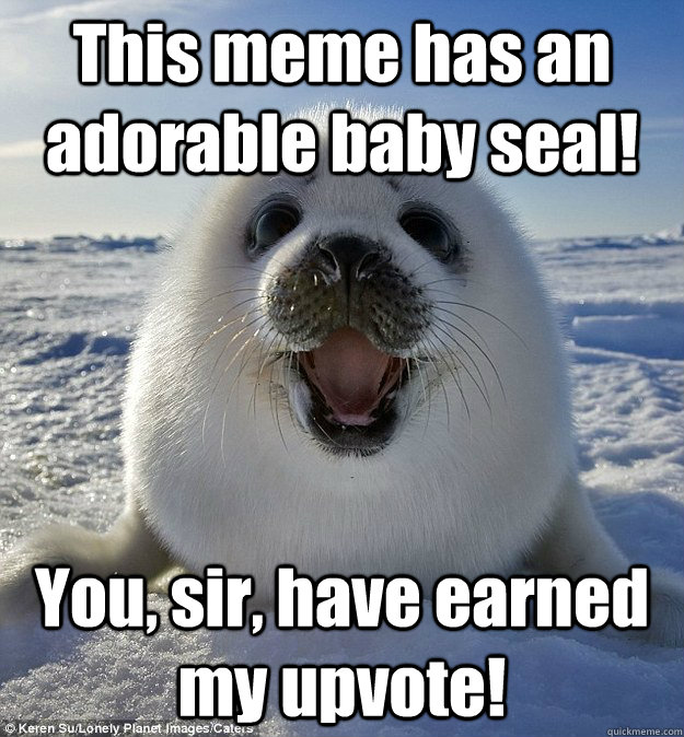 This meme has an adorable baby seal! You, sir, have earned my upvote!  