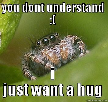 YOU DONT UNDERSTAND :( I JUST WANT A HUG Misunderstood Spider