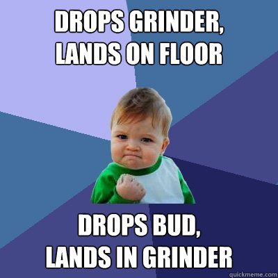 drops grinder, 
lands on floor drops bud, 
Lands in grinder  Success Kid