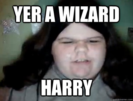 YER A WIZARD HARRY - YER A WIZARD HARRY  Katiethesinger123