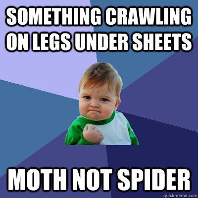 something crawling on legs under sheets moth not spider  Success Kid