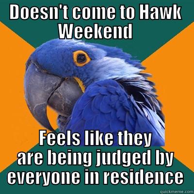 SPRING 9 - DOESN'T COME TO HAWK WEEKEND FEELS LIKE THEY ARE BEING JUDGED BY EVERYONE IN RESIDENCE Paranoid Parrot