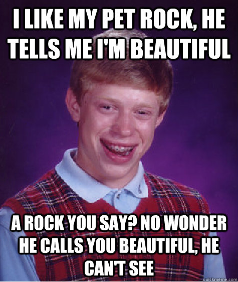 i like my pet rock, he tells me i'm beautiful a rock you say? no wonder he calls you beautiful, he can't see - i like my pet rock, he tells me i'm beautiful a rock you say? no wonder he calls you beautiful, he can't see  Bad Luck Brian