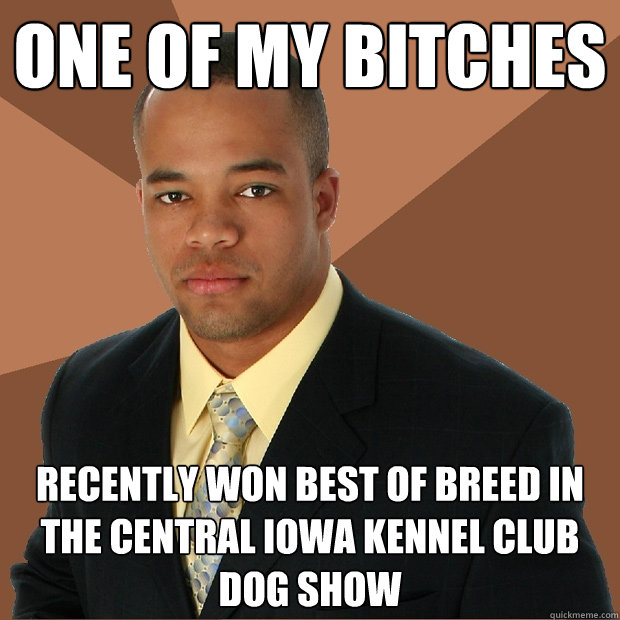 One of My Bitches Recently won best of breed in the Central Iowa Kennel Club Dog Show  Successful Black Man