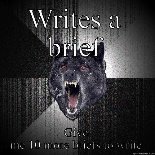 Gimme briefs gaddammit - WRITES A BRIEF GIVE ME 10 MORE BRIEFS TO WRITE Insanity Wolf