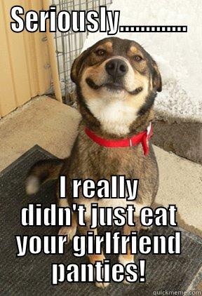 Innocent puppy says.. - SERIOUSLY............. I REALLY DIDN'T JUST EAT YOUR GIRLFRIEND PANTIES! Good Dog Greg