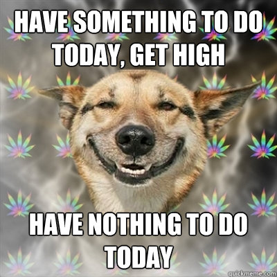 have something to do today, get high have nothing to do today  Stoner Dog