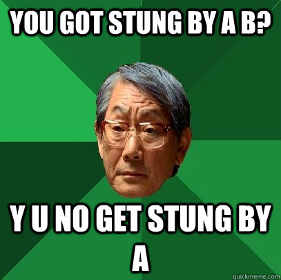 You got stung by a B? Y U No get stung by A  High Expectations Asian Father