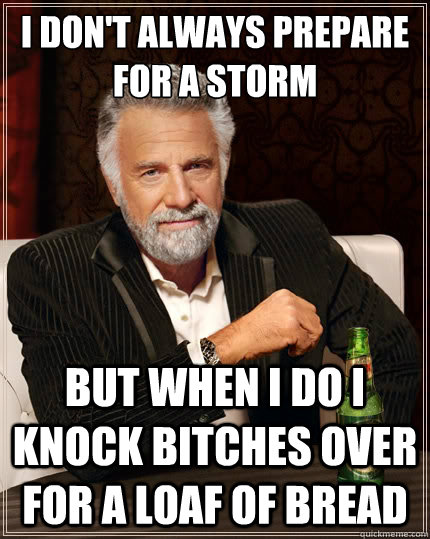 I don't always prepare for a storm But when i do i knock bitches over for a loaf of bread  The Most Interesting Man In The World