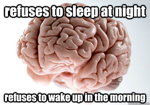 refuses to sleep at night refuses to wake up in the morning  - refuses to sleep at night refuses to wake up in the morning   Scumbag Brain