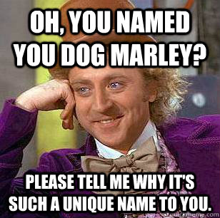 oh, you named you dog marley? please tell me why it's such a unique name to you. - oh, you named you dog marley? please tell me why it's such a unique name to you.  Condescending Wonka