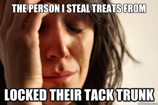 the person i steal treats from locked their tack trunk  First World Problems