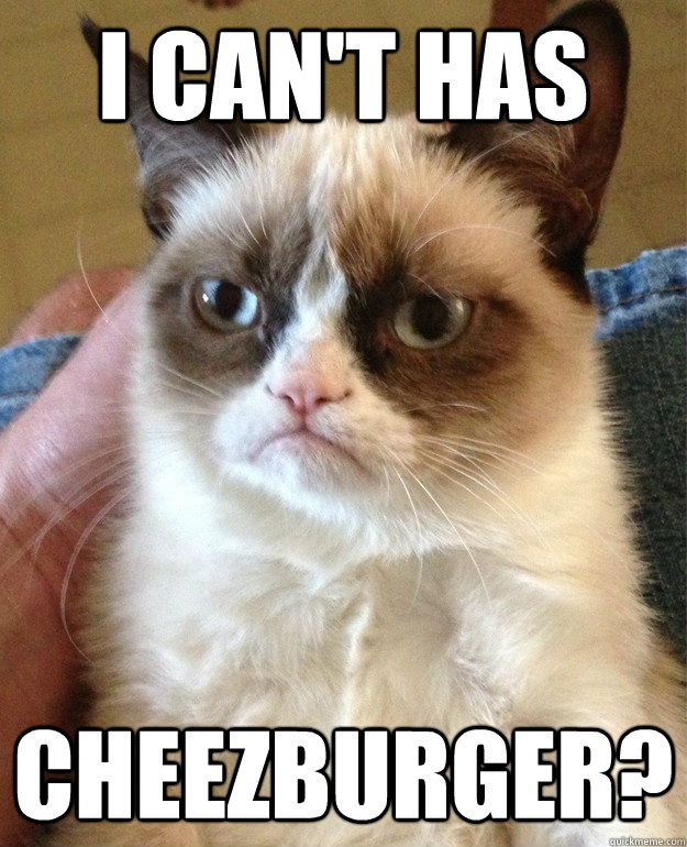 I Can't Has Cheezburger?  Grumpy Cat