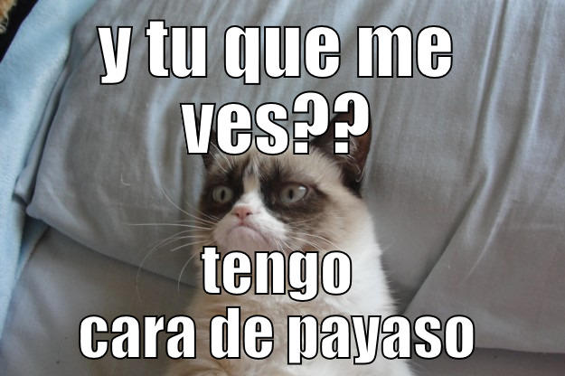 Y TU QUE ME VES?? TENGO CARA DE PAYASO Grumpy Cat