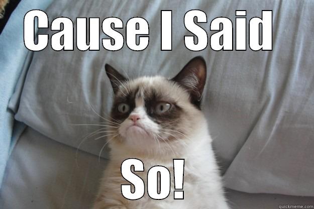 cause I said so >:( - CAUSE I SAID  SO! Grumpy Cat