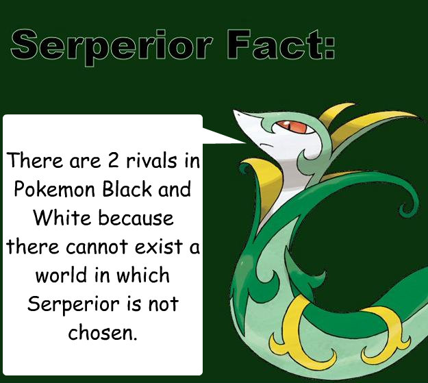 There are 2 rivals in Pokeémon Black and White because there cannot exist a world in which Serperior is not chosen. - There are 2 rivals in Pokeémon Black and White because there cannot exist a world in which Serperior is not chosen.  Serperior Facts