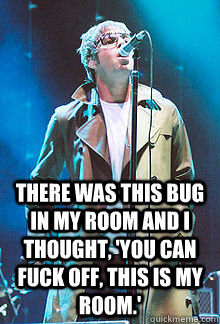  There was this bug in my room and I thought, 'you can fuck off, this is my room.'  Liam Gallagher